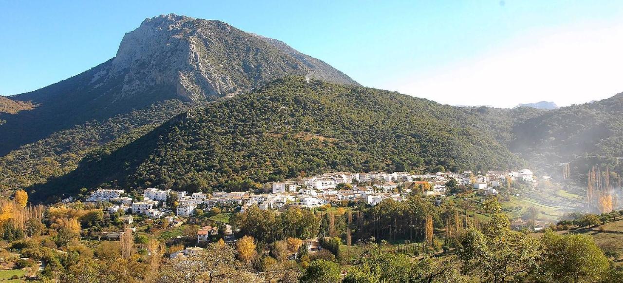 Casa La Rosa P.N. Sierra De Grazalema ξενώνας Benamahoma Εξωτερικό φωτογραφία