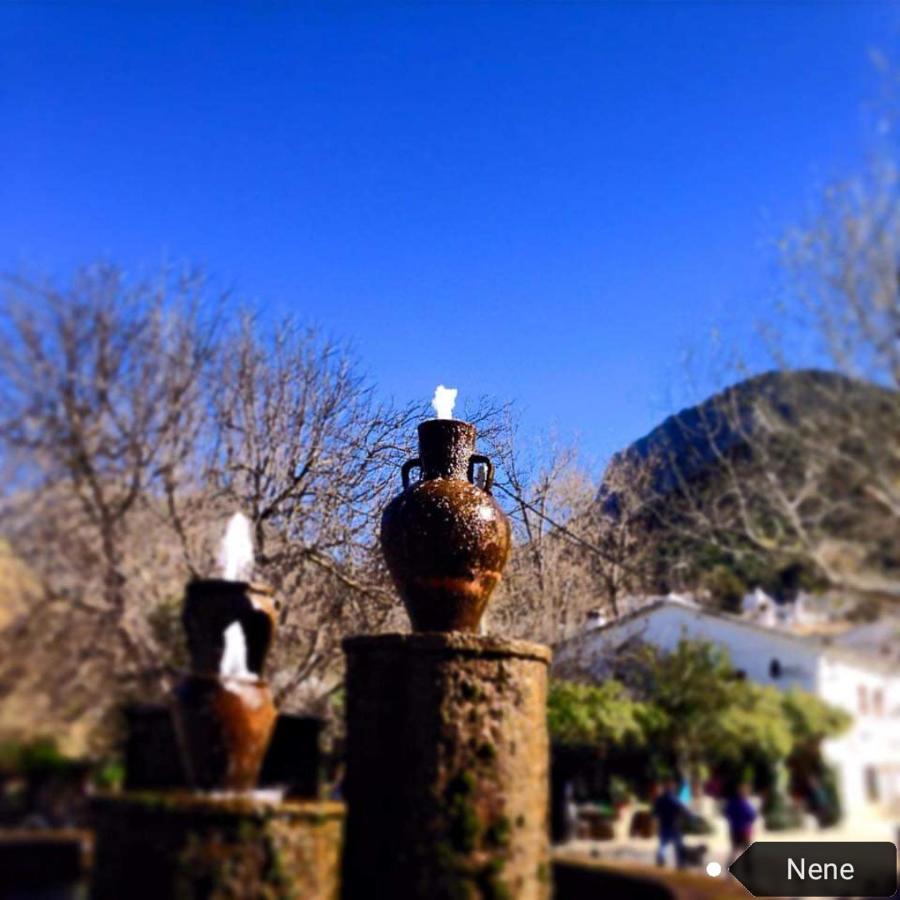 Casa La Rosa P.N. Sierra De Grazalema ξενώνας Benamahoma Εξωτερικό φωτογραφία